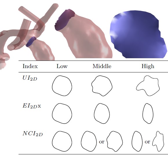 Definition and Extraction of 2D Shape Indices of Intracranial Aneurysm Necks for Rupture Risk Assessment