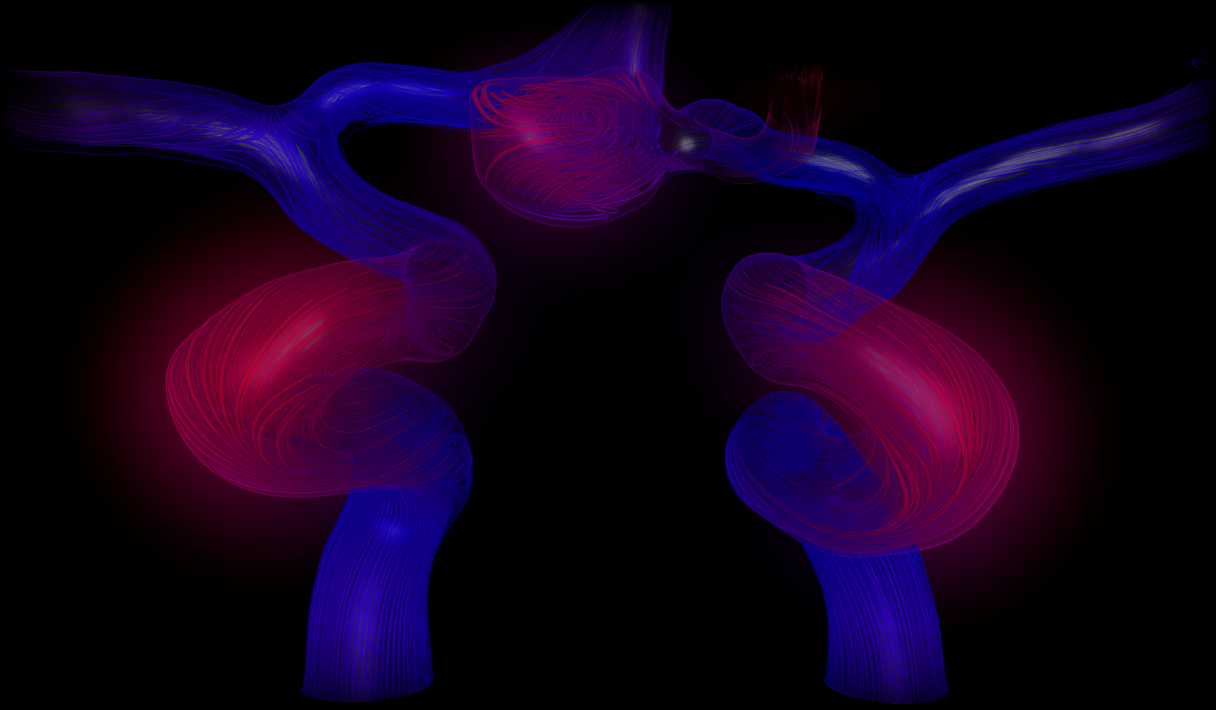 Visual Exploration and Comparison of Cardiac and Cerebral Blood Flow Data