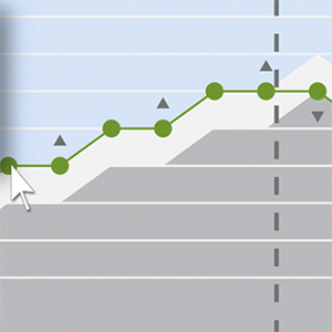 Effects and Ways of Tailored Gamification in Software-Based Training in Cognitive Rehabilitation