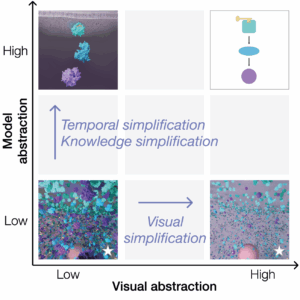 An Exploration of Practice and Preferences for the Visual Communication of Biomedical Processes
