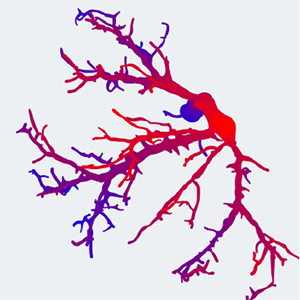 Estimating Depth Information of Vascular Models: A Comparative User Study Between a Virtual Reality and a Desktop Application