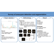 A survey of intracranial aneurysm detection and segmentation