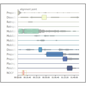 Interactive Visual Exploration of Surgical Process Data