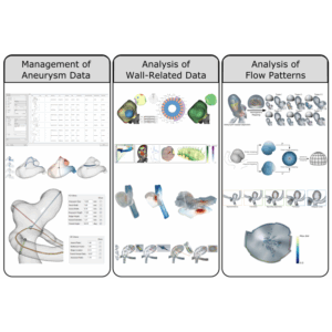 Aneulysis - A System for the Visual Analysis of Aneurysm Data