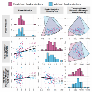 Classification of cardiac cohorts based on morphological and hemodynamic features derived from 4D PC-MRI data