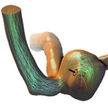 Perception Guided Evaluation of 3D Medical Visualizations