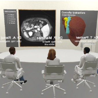 VR Multi-user Conference Room for Surgery Planning