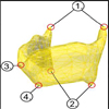 Generation and Initialization of Stable 3D Mass-Spring Models for the Segmentation of the Thyroid Cartilage