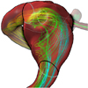 Adapted Surface Visualization of Cerebral Aneurysms with Embedded Blood Flow Information