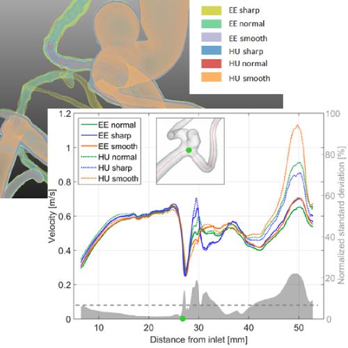 From Imaging to Hemodynamics – How Reconstruction Kernels Influence the Blood Flow Predictions in Intracranial Aneurysms