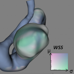 Evaluation of Time-Dependent Wall Shear Stress Visualizations for Cerebral Aneurysms