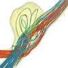 Recommendations for accurate numerical blood flow simulations of stented intracranial aneurysms