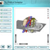 Improved Spine Surgery and Intervention with Virtual and Interactive Training Cases and Augmented Reality Visualization