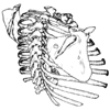 Illustrative Visualization of Medical Data Sets