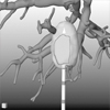 Kombination von Bildanalyse und physikalischer Simulation für die Planung von Behandlungen maligner Lebertumoren mittels laserinduzierter Thermotherapie