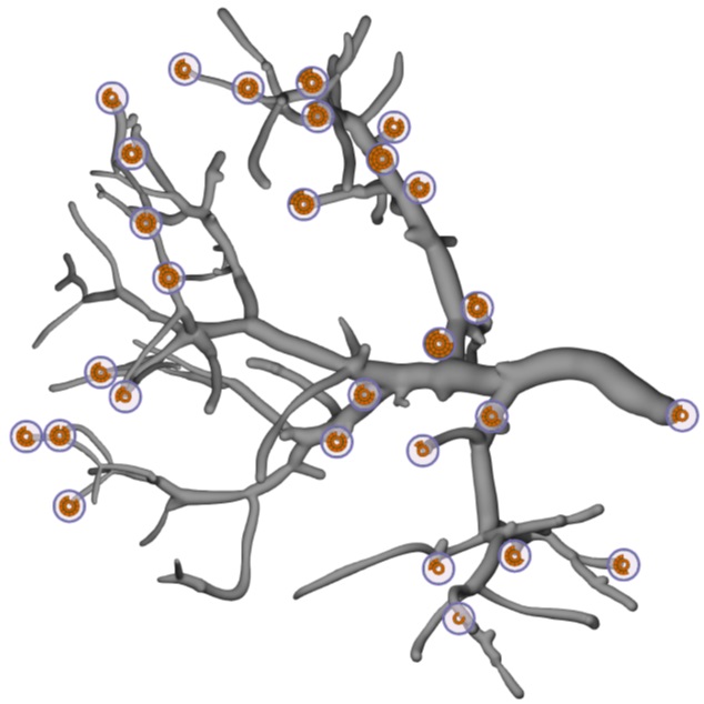 Automatic Generation of Web-Based User Studies to Evaluate Depth Perception in Vascular Surface Visualizations