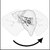 Adaptive script based animations for intervention planning