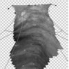 Texturextraktion aus endoskopischen Videoaufnahmen für die virtuelle Endoskopie am Beispiel von Trachea