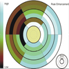 Integrated Visualization of Morphologic and Perfusion Data for the Analysis of Coronary Artery Disease