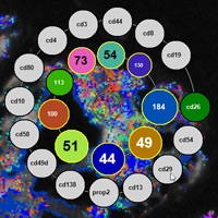 Interactive Labeling of Toponome Data