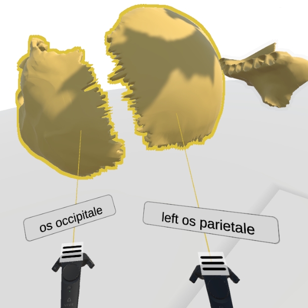 Supporting Anatomy Education with a 3D Puzzle in a Virtual Reality Environment -- Results from a Pilot Study