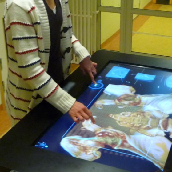 A Critical Analysis of the Evaluation Practice in Medical Visualization