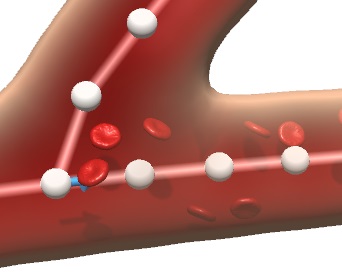 Semi-Immersive 3D Sketching of Vascular Structures for Medical Education