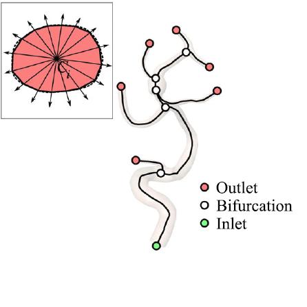 Flow-Splitting-Based Computation of Outlet Boundary Conditions for Improved Cerebrovascular SImulation in Multiple Intracranial Aneurysms