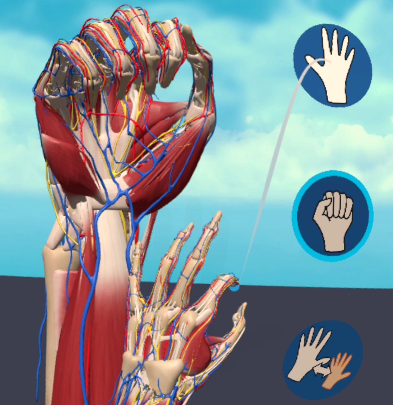 Learning Hand Anatomy with Sense of Embodiment