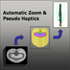 Automatic Zoom and Pseudo Haptics to Support Semiautomatic Segmentation Tasks
