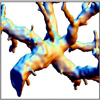 Model-free Surface Visualization of Vascular Trees