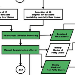 Image analysis in epidemiological applications